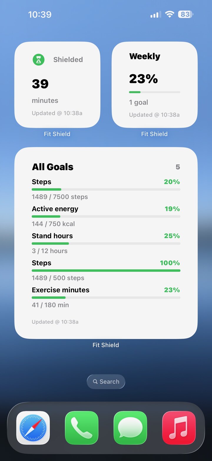 Fit Shield screenshot
